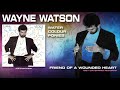 Wayne Watson - Friend Of A Wounded Heart
