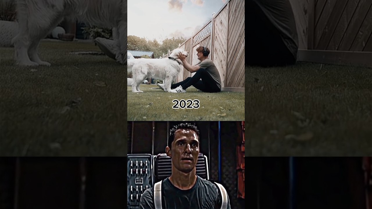 Dog Sad Moments ❤️‍🩹💔🫤 #shorts