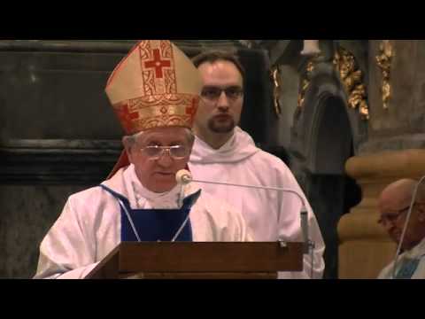 VIII Czuwanie jasnogórskie - homilia