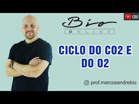 ECOLOGIA | CICLOS BIOGEOQUÍMICOS | CICLO DO CO2 E O2