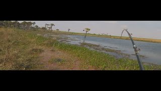 Aquele dia da Pescaria da Sorte