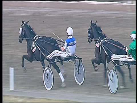 Trotto 04/09/2016 - 2° corsa