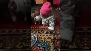 Download lagu #dimplequeen #cutebaby #cute #youtube Loving prisha 🥰#trending #shortvideo mp3 Download lagu #dimplequeen #cutebaby #cute #youtube Loving prisha 🥰#trending #shortvideo mp3