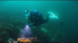 Nanaimo Dive Trip Oct   Part 3