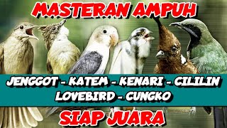 Download lagu MASTERAN AMPUH ‼️KOMBINASI MASTERAN MEWAH UNTUK MURAI BATU | TEMBAKAN KASAR NGEROL PANJANG mp3 Download lagu MASTERAN AMPUH ‼️KOMBINASI MASTERAN MEWAH UNTUK MURAI BATU | TEMBAKAN KASAR NGEROL PANJANG mp3