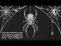 Black Tiger Sex Machine X YOOKiE Spiders