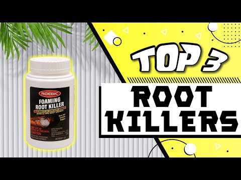 Best Root Killer for Sewer Lines [Reviewed]