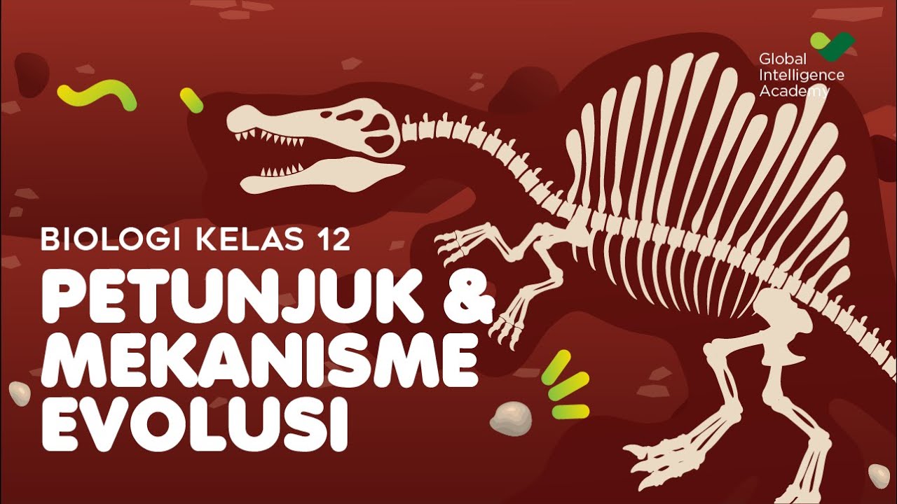 BIOLOGI Kelas 12 - Petunjuk & Mekanisme Evolusi | GIA Academy