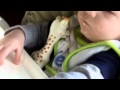 Gabe Eating Cereal And Peas