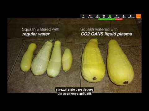 2017 04 26 PM Public Teaching in Romanian - Cursuri publice în română