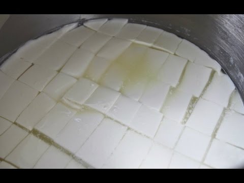 download lagu mp3 mp4 Queso Paisa, download lagu Queso Paisa gratis, unduh video klip Queso Paisa