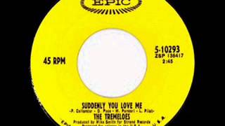 ¨The Tremeloes -  Suddenly You Love Me