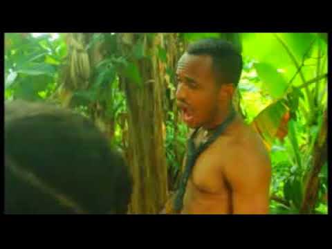 SEED OF LOVE (season 1&2)