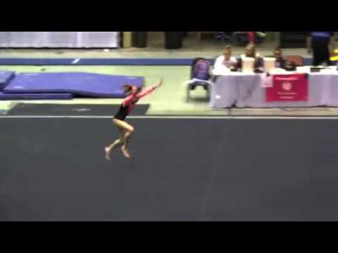 Whitney Bjerken || Defying Gravity