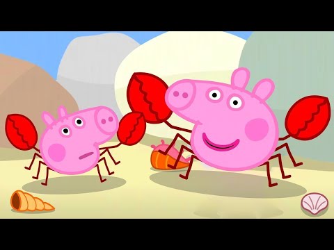 Peppa's Rock Pool Adventure 🦀 | Peppa Pig Full Episodes