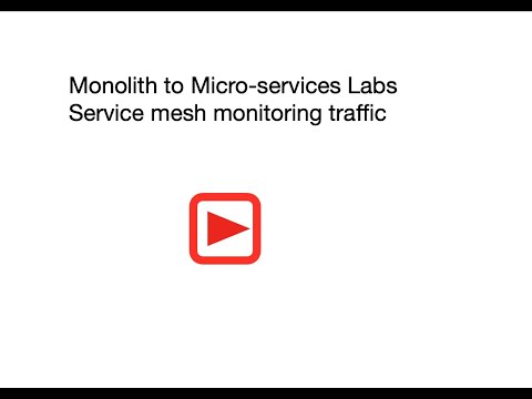 Using the service mesh to monitor traffic Introduction Video