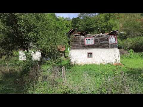 Satul Runcu Mare din Hunedoara