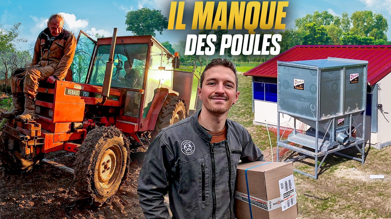 40 POULES EN MOINS🐔 Livraison de containers 📦
