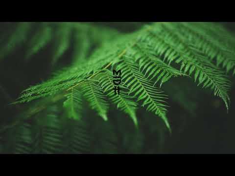 Davis - Watu (Luca Bacchetti Endless Remix)