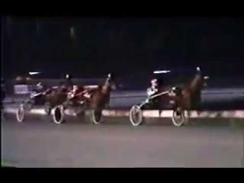 1985 Freestate Raceway DIVISION STREET Breeders Crown Aged Pace