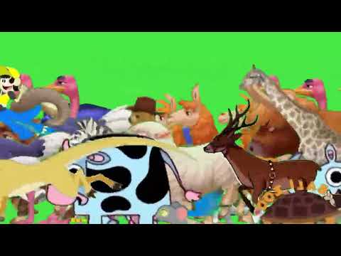 Wild Animals Walking Together | Green Screen Conservation Footage