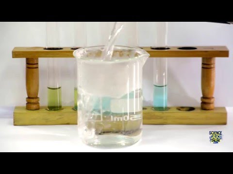 Food Tests - Iodine, Biuret, Benedict's, Ethanol, DCPIP