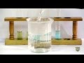 Food Tests Iodine Biuret Benedict S Ethanol DCPIP