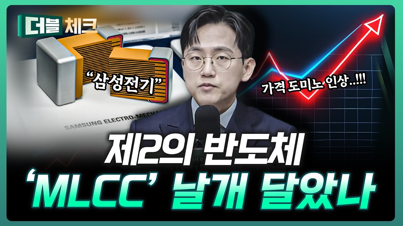 "가격 인상 초읽기" 제2의 반도체 시작했다 | 장우진 작가 [더블 체크]