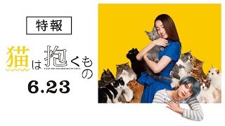 『猫は抱くもの』2chでの評価 mqdefault - 『猫は抱くもの』2chでの評価