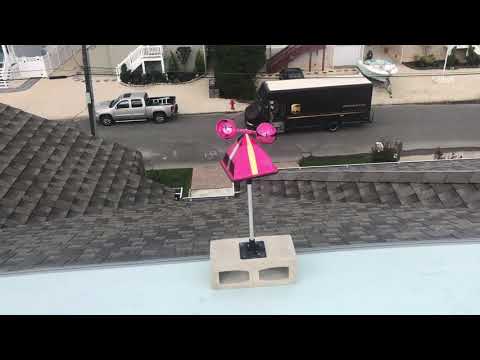 Preventing Seagulls from Roosting on Homeowners Roof in Long Beach Island, NJ
