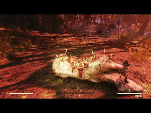 The Forest Region Object Random Encounter Hotspot #05 - Fallout 76