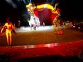 The ELEPHANTS At Ringling Brothers Barnum Bailey Circus