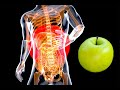 Effective Recipe To Cleanse Body Intestines And Liver All The Dirt Flies Out