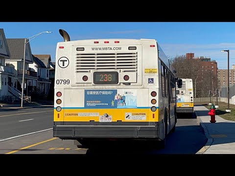 El Precio Segundos | Yoshi's Ride Series {S7-E07} - Riding the 238 🚌 - {MBTA}