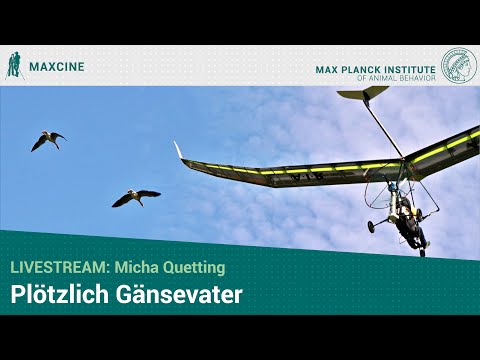 , title : 'Livestream: Micha Quetting: „Plötzlich Gänsevater"'