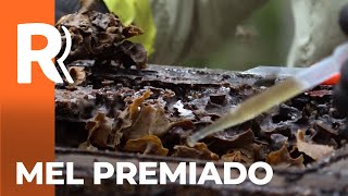Miniatura do vídeo