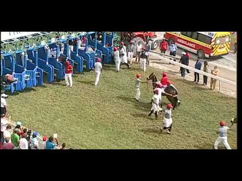 🏇👌. Race 4👍🏇. 21st Meeting 2020 Season #mauritius