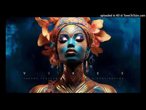 NGA  Sa Foda O NGA  Feat Van Sophie