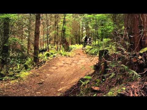 Fanatik crew out for a rip!