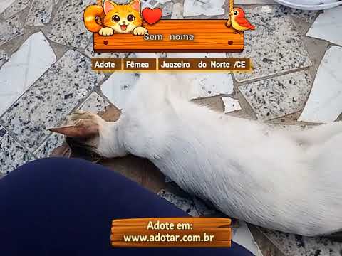 Vídeo de Sem nome