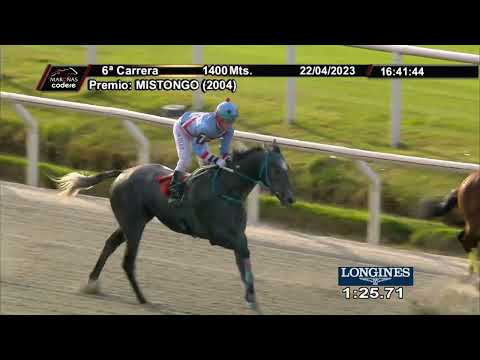 230422 c06 LEOPARDA GUAPA