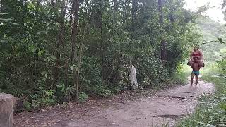 Download lagu Shoulder ride in the Woods mp3