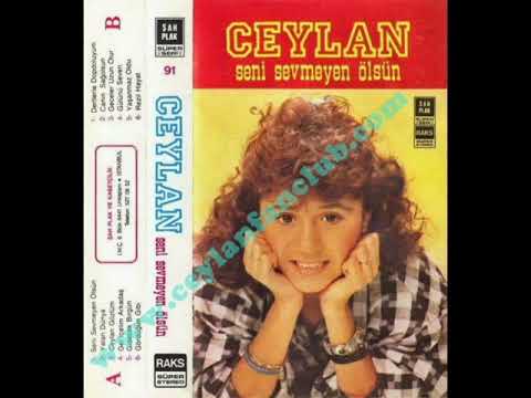 GÖRDÜĞÜN GİBİ CEYLAN