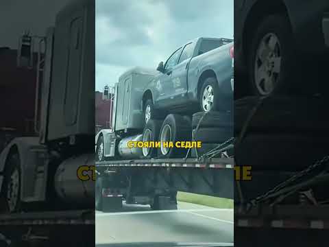 Босс Среди Перевозчиков