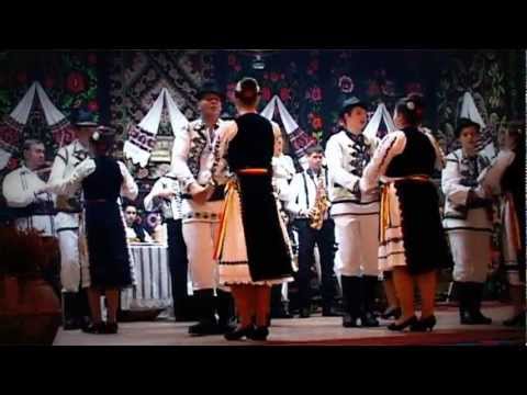 Ansamblul Ritmuri Zarandene - Suita din tara motilor