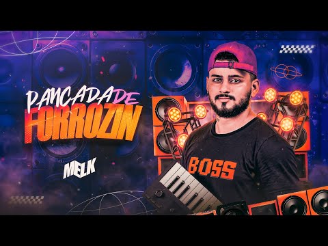 CD LAPADA DE FORROZIN - DJ MELK