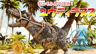 【ASA：The Island】【PS5】#11 もふもふ界の頂点！ユウティラヌスをテイムする！ 【ARK Survival Ascended】