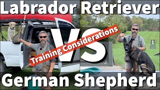 Labrador Retriever VS German Shepherd | Transferring Dog Training Skillsets