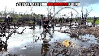 Download lagu 7 DAYS TO FIND LOTS OF BIG FISH IN RIVERS, SWAMPS & RICE FIELDS DURING THE DRY SEASON😅 #bocahpeci... mp3