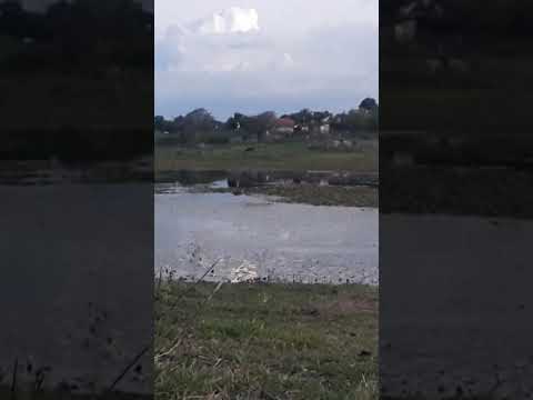 mostrando o açude do sitio lajes em serrinha dos pintos rn.